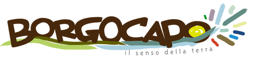Logo-Borgocapo14