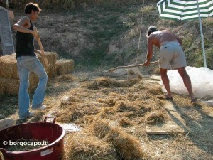 terrapaglia_borgocapo